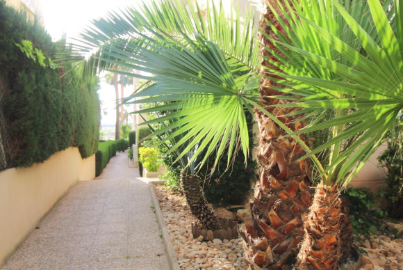 Herverkoop - Appartement  - Torrevieja - La veleta