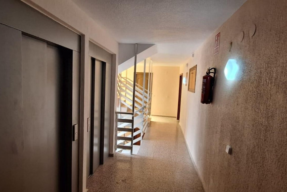 Revente - Appartement - Torrevieja - La Mata