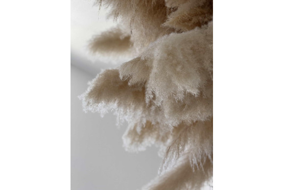 Herverkoop - LUXE VILLA - San Juan Playa - Cabo de las huertas