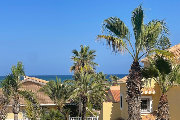 Revente - Pareado - Torrevieja - Torre la mata