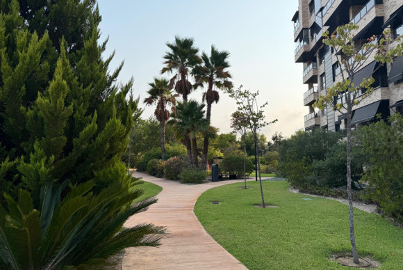 Alquiler a largo plazo - Apartamento / piso - Alicante - Vistahermosa