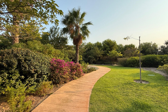 Alquiler a largo plazo - Apartamento / piso - Alicante - Vistahermosa