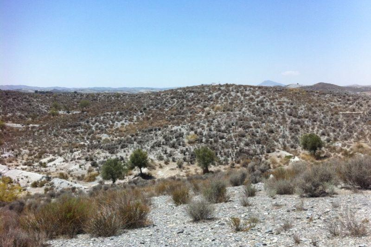 Herverkoop - Terrein - Lorca - La Hoya-Almendricos-Purias
