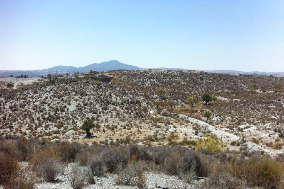Herverkoop - Terrein - Lorca - La Hoya-Almendricos-Purias