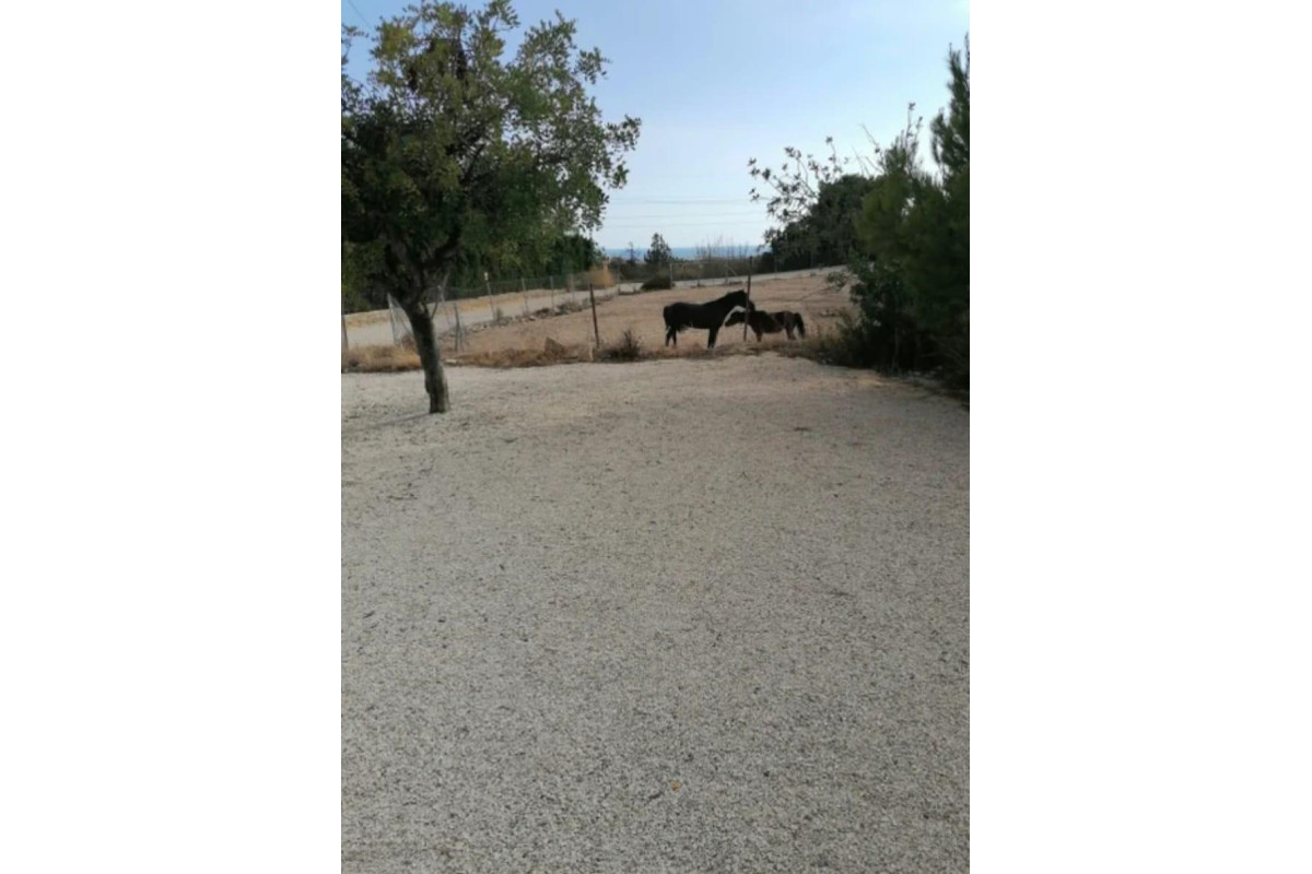 Revente - House - Villajoyosa - El Secanet - Hacienda del Sol