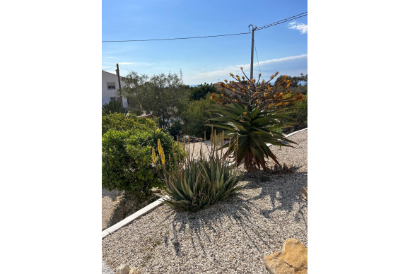 Revente - House - Villajoyosa - El Secanet - Hacienda del Sol