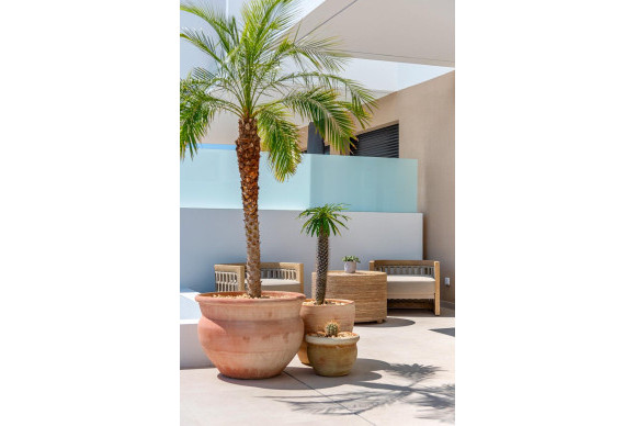 Nieuwbouw - LUXE VILLA - Dolores - CENTRO