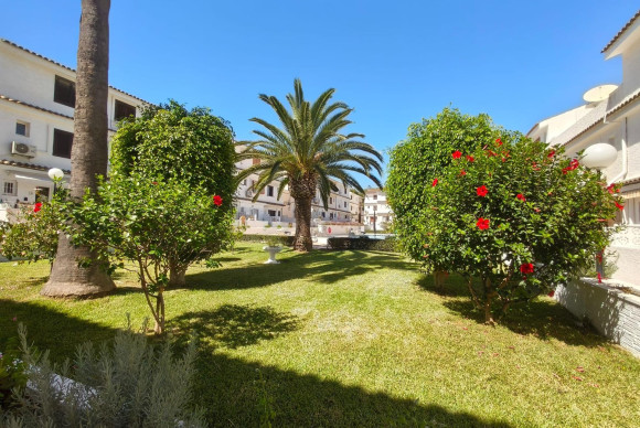 Herverkoop - Triplex - Torrevieja - Punta prima