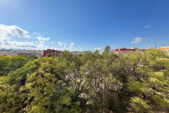 Reventa - Apartamento / piso - Torrevieja - Estacion de autobuses