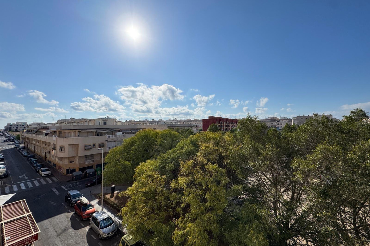 Reventa - Apartamento / piso - Torrevieja - Estacion de autobuses