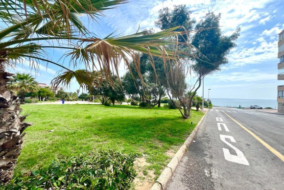 Reventa - Pareado - Torrevieja - Cabo cervera