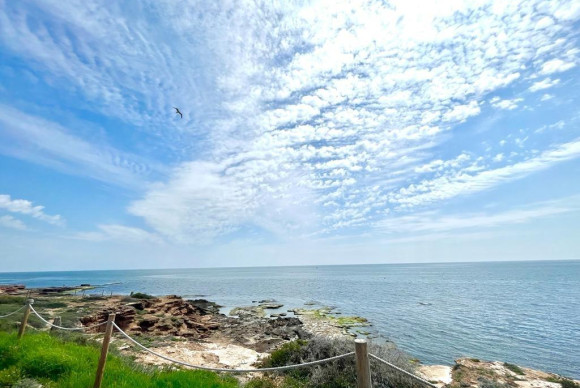 Reventa - Pareado - Torrevieja - Cabo cervera