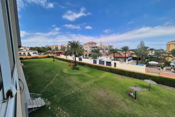 Herverkoop - Appartement  - Torrevieja - Punta prima