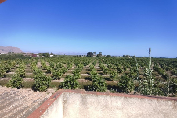 Revente - House - Benejúzar - Comunidad valenciana