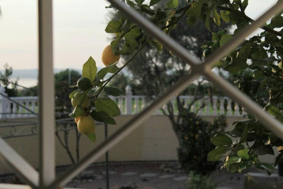 Revente - House - Torrevieja - La Siesta - El Salado - Torreta