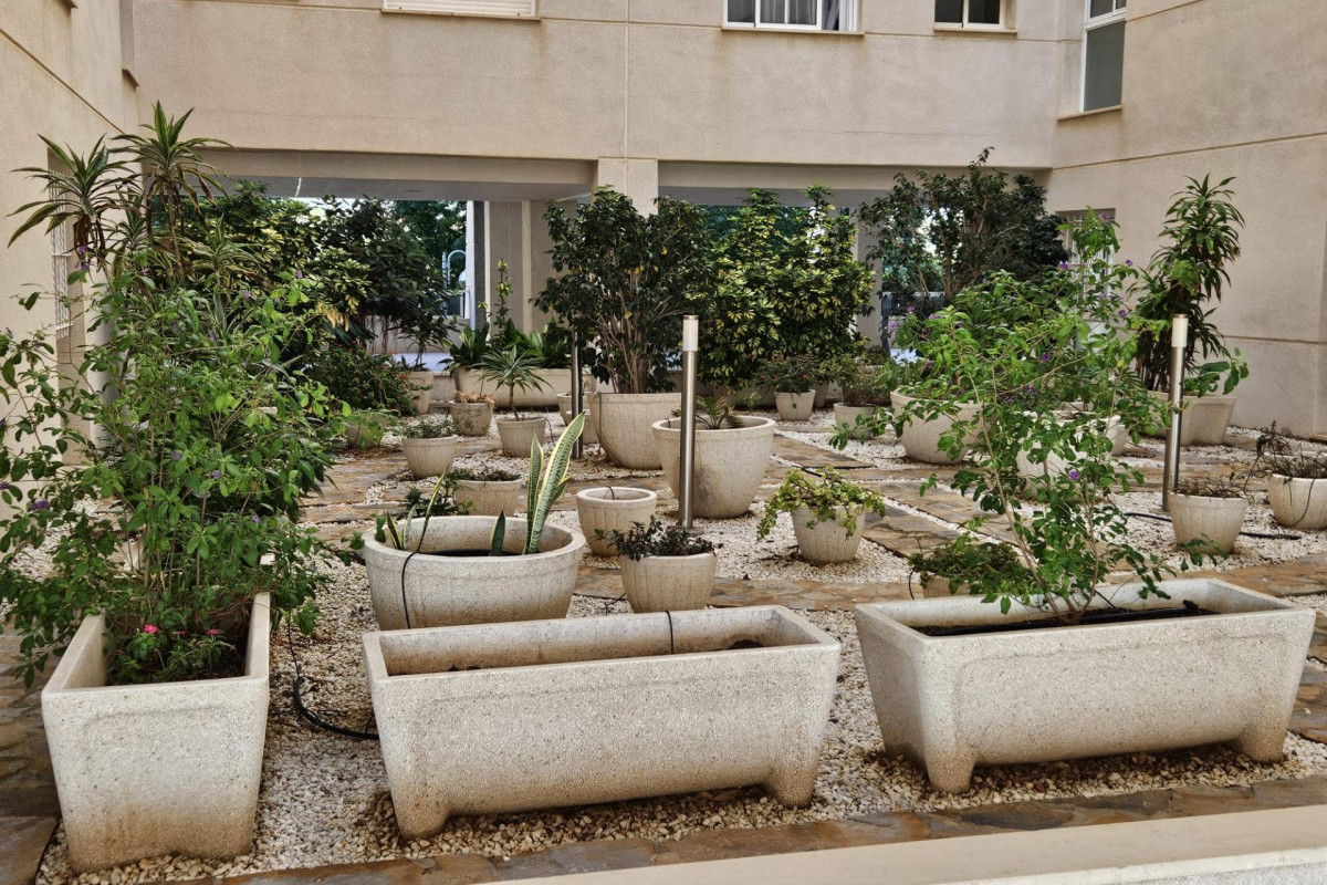 Herverkoop - Appartement  - Torrevieja - Torreblanca