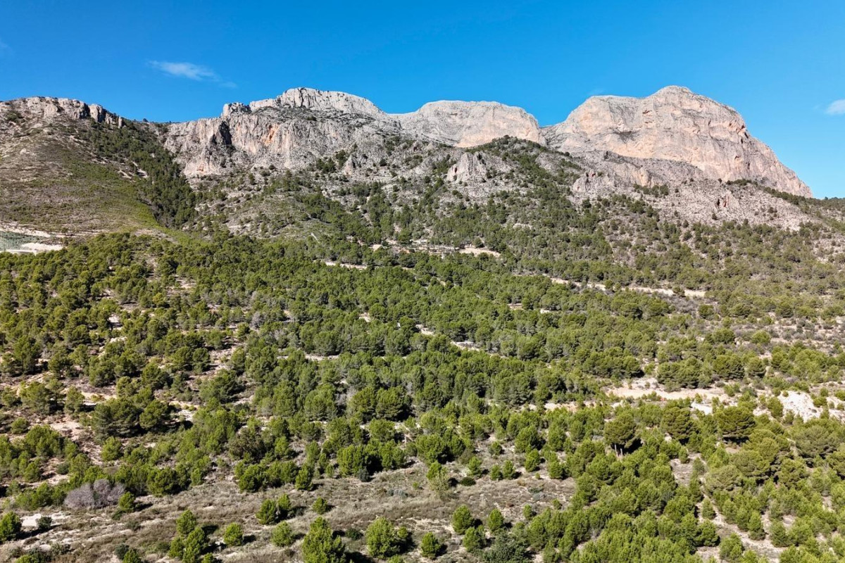 Reventa - House - Polop - Alberca