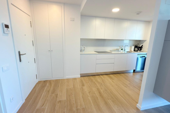 Lange Termijn Verhuur - Appartement  - San Juan de Alicante - Frank espinós