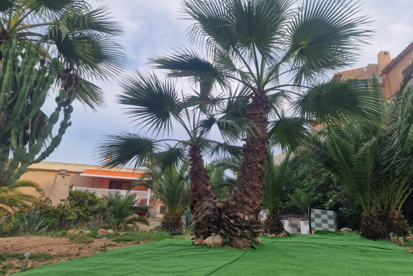 Herverkoop - Appartement  - Torrevieja - La Mata