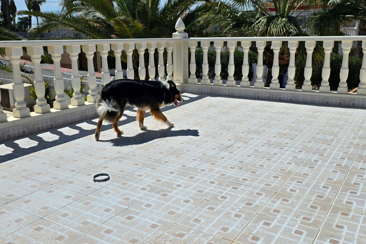 Revente - Villa for sale - Torrevieja - El Chaparral