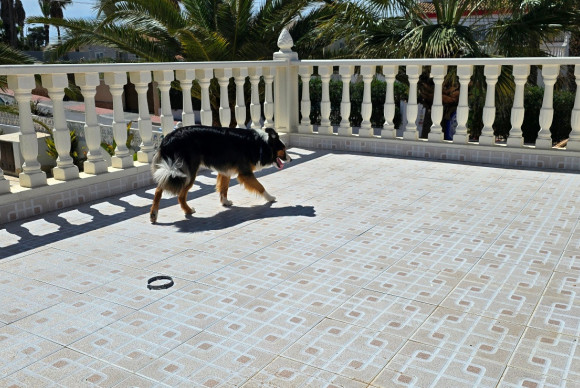 Revente - Villa for sale - Torrevieja - El Chaparral