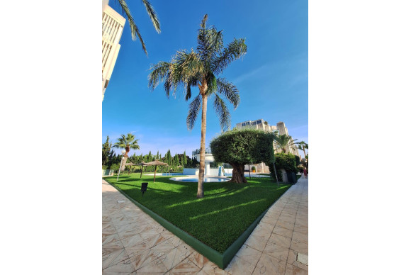 Lange Termijn Verhuur - Appartement  - Alicante - Playa de San Juan