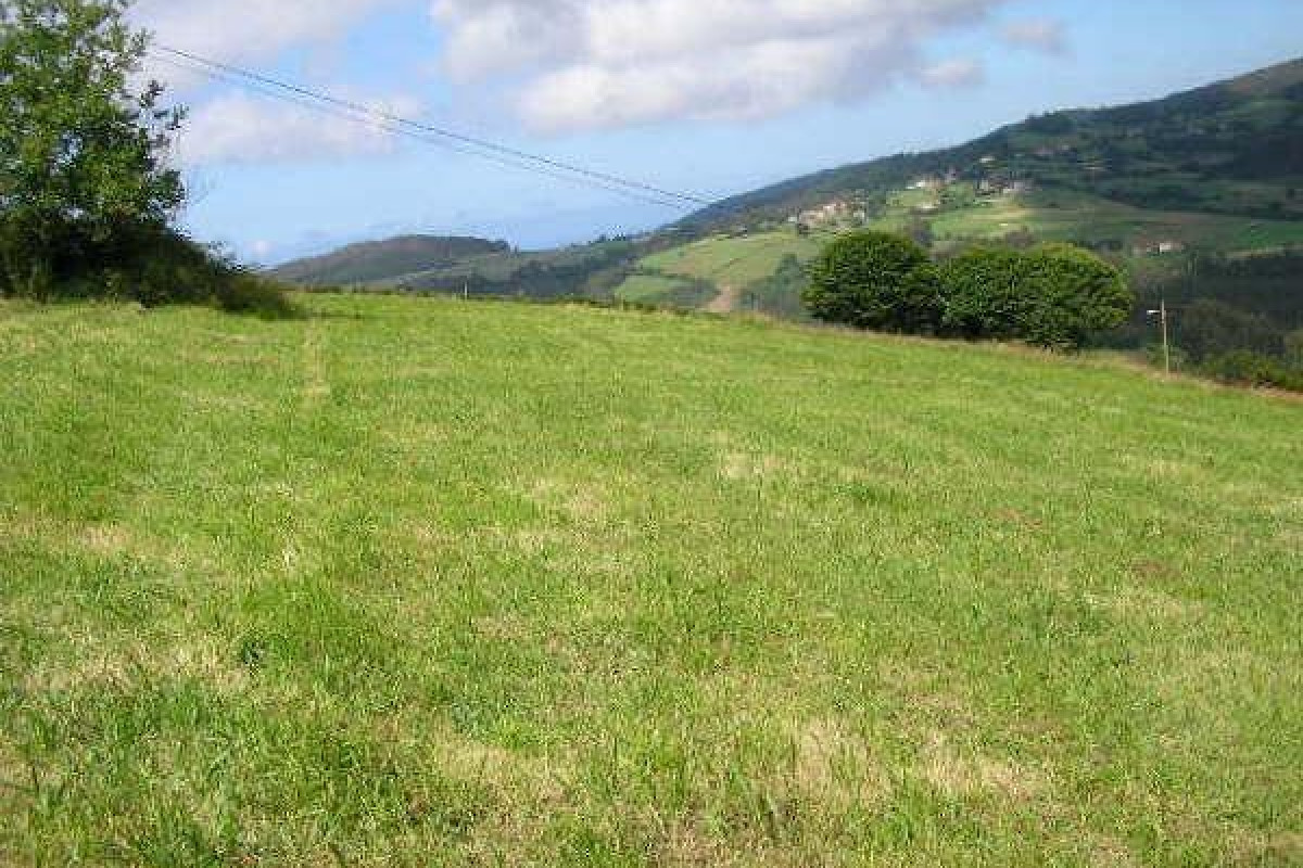 Herverkoop - Terrein - Cudillero - Costa verde