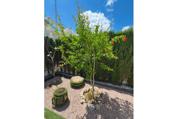 Revente - House - Benijofar - Costa blanca sur