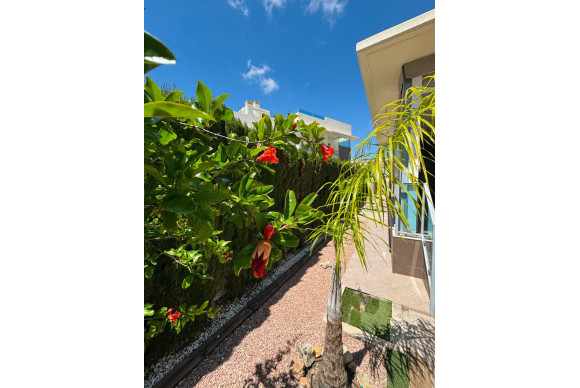 Revente - House - Benijofar - Costa blanca sur