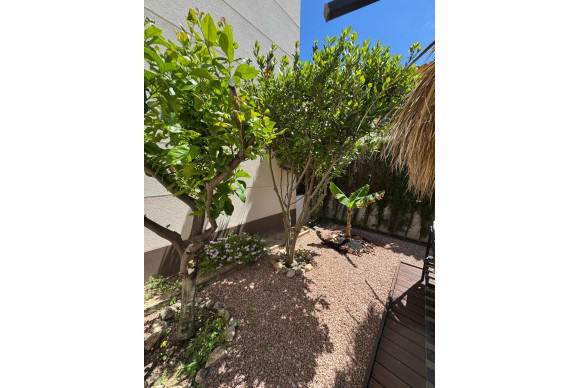 Revente - House - Benijofar - Costa blanca sur