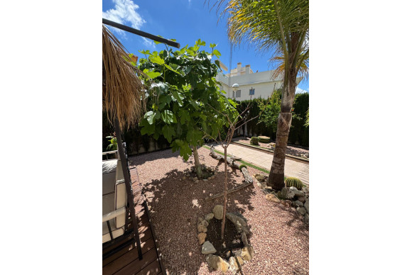 Revente - House - Benijofar - Costa blanca sur