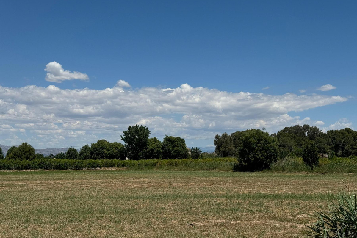 Revente - Appartement - Almoradí