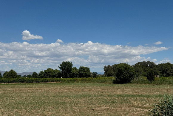 Revente - Appartement - Almoradí
