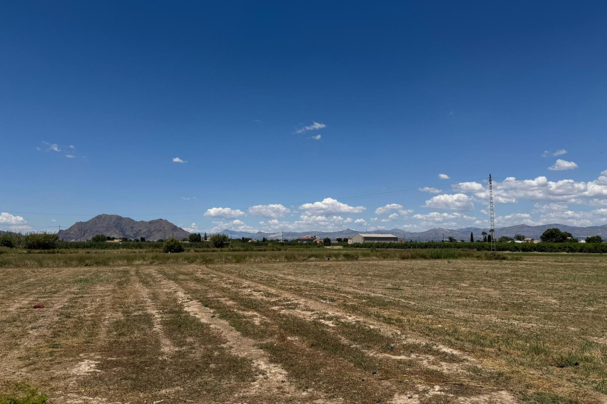 Revente - Appartement - Almoradí