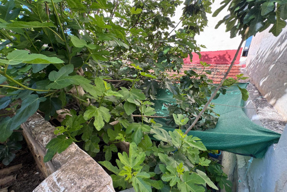 Reventa - House - Benejúzar