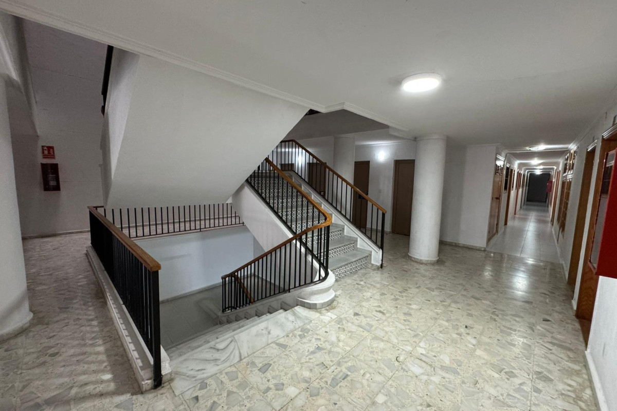 Reventa - Studio - Torrevieja - Estacion de autobuses