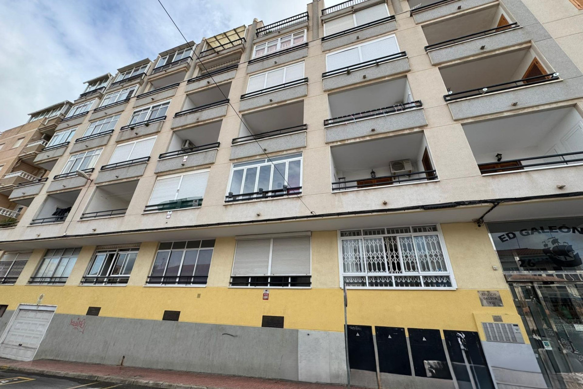 Reventa - Studio - Torrevieja - Estacion de autobuses