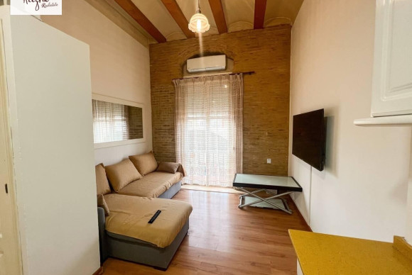 Location à long terme - Appartement - Valencia - El Botanic