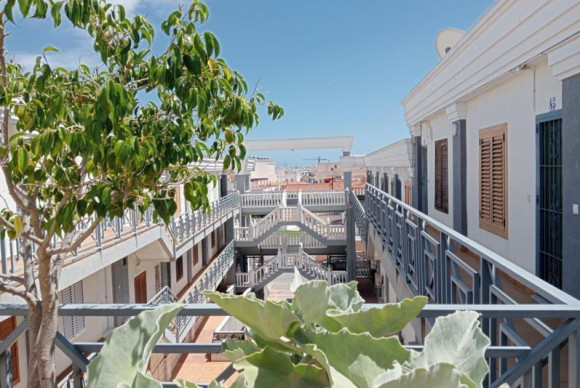 Herverkoop - Appartement  - Torrevieja - Centro