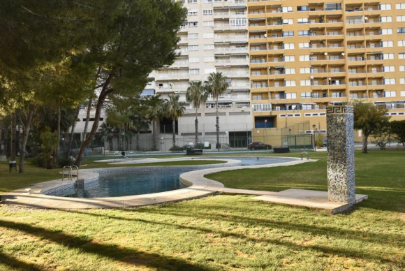 Reventa - Apartamento / piso - Orihuela Costa - Campoamor