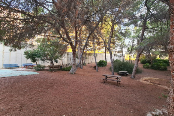 Reventa - Apartamento / piso - Orihuela Costa - Campoamor