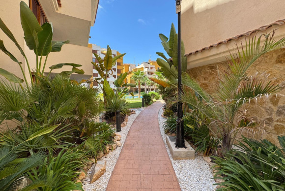 Herverkoop - Appartement  - Torrevieja - Punta prima