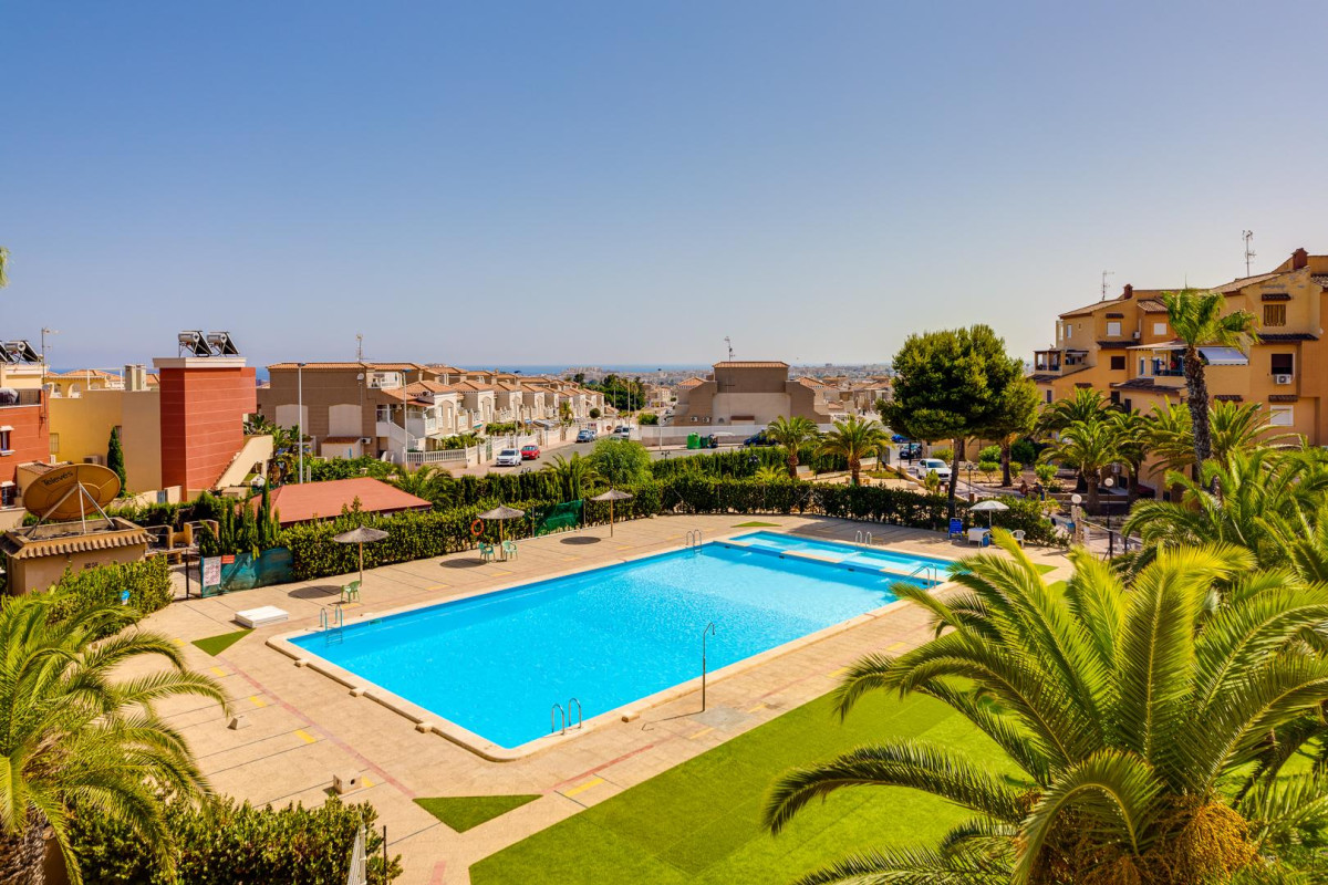 Reventa - Estudio - Torrevieja - Torreblanca La Mata