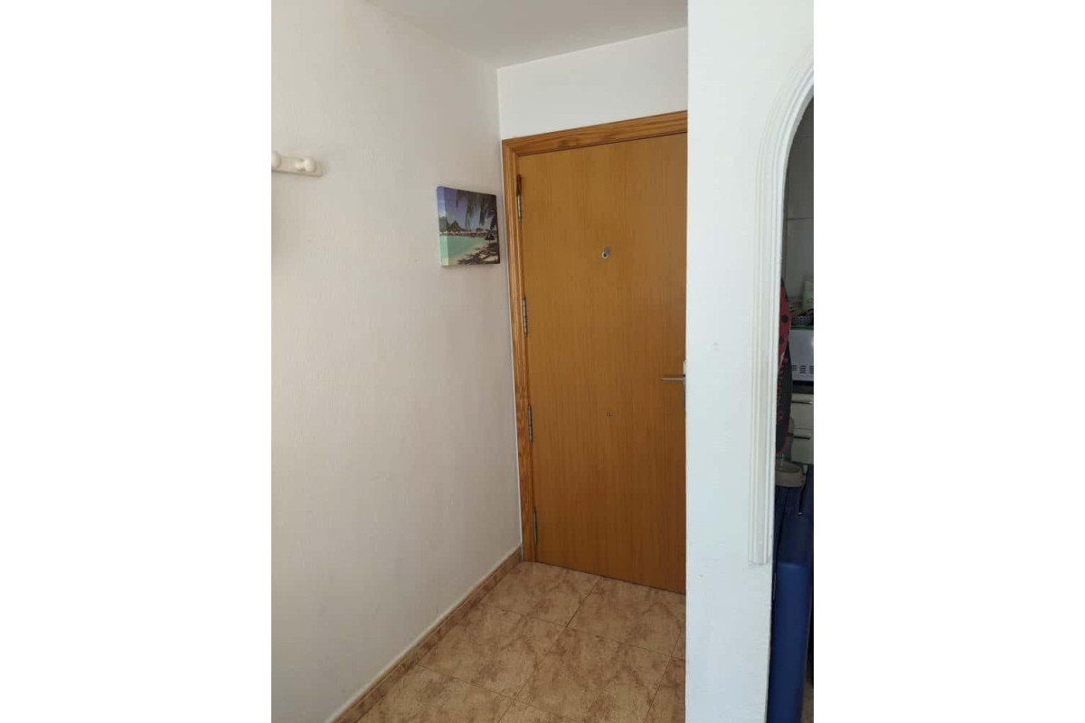 Reventa - Apartamento / piso - Torrevieja - Estacion de autobuses