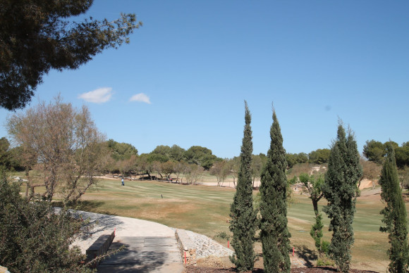 Herverkoop - Villa - Pilar de la Horadada