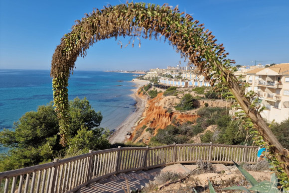 Reventa - Apartamento / piso - Cabo Roig