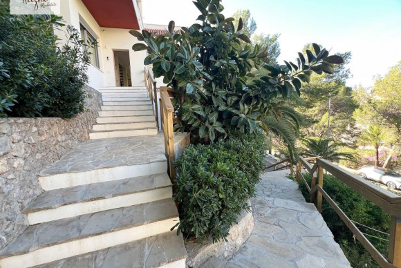 Herverkoop - LUXE VILLA - Cullera - Raco