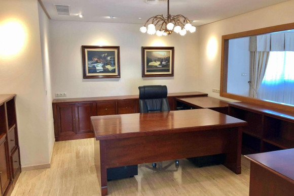 Herverkoop - LUXE VILLA - El Palmar