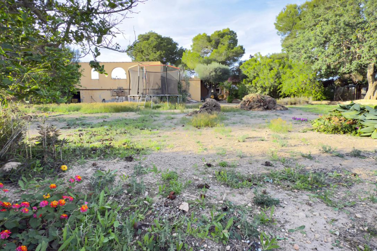 Resale - Country House - Los Montesinos - los montesinos