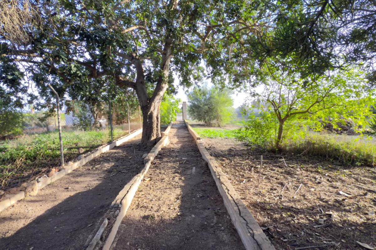 Resale - Country House - Los Montesinos - los montesinos